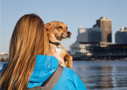 شهرهای مناسب زندگی سگ ها در کانادا کدام اند؟
